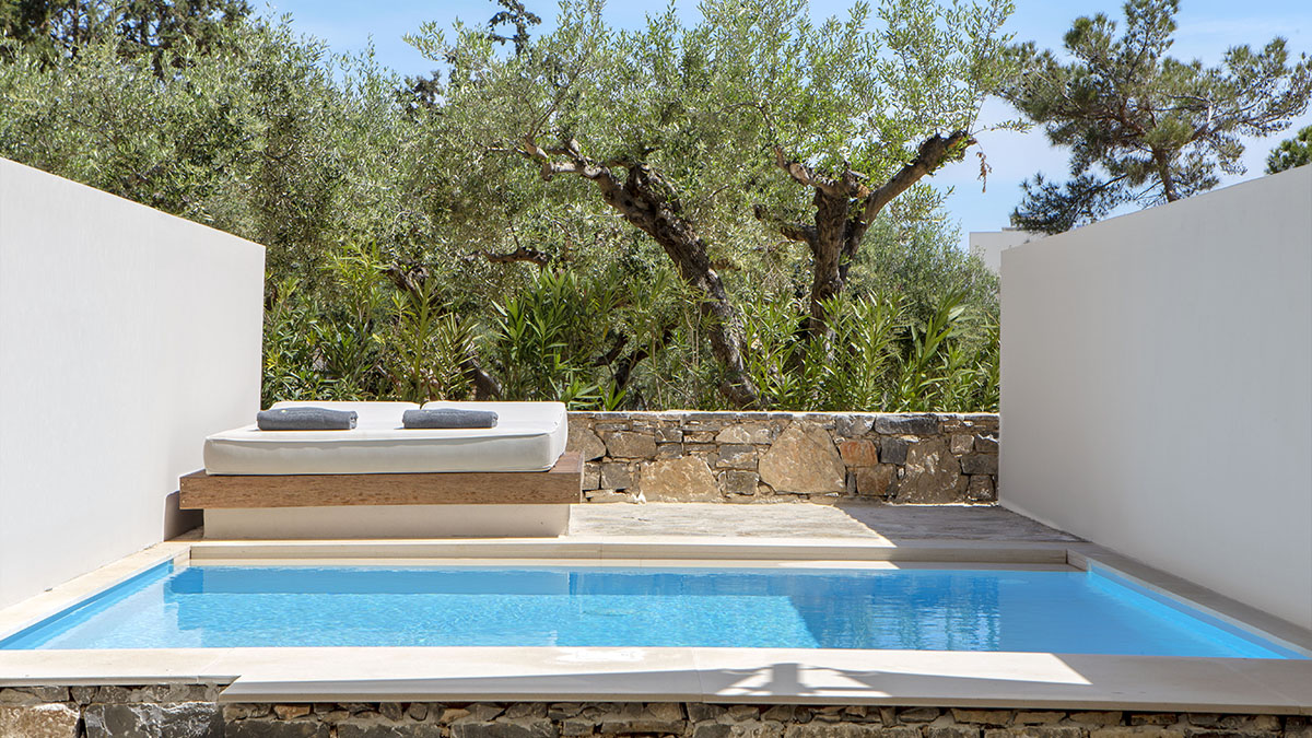 Deluxe Room Private Pool 